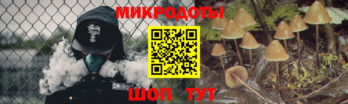 Псилоцибиновые грибы GOLDEN TEACHER Ишимбай